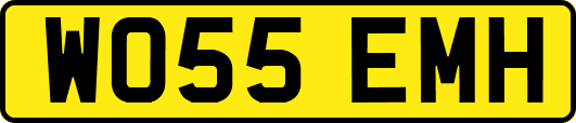 WO55EMH