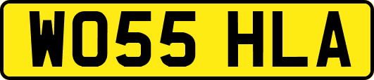 WO55HLA