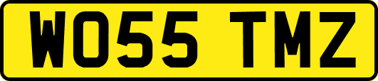 WO55TMZ