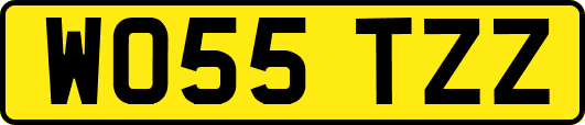 WO55TZZ