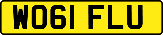 WO61FLU