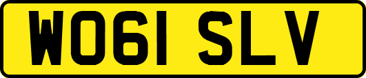 WO61SLV