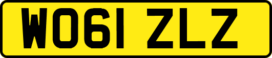 WO61ZLZ