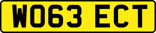 WO63ECT