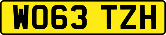 WO63TZH