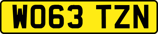 WO63TZN
