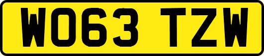 WO63TZW