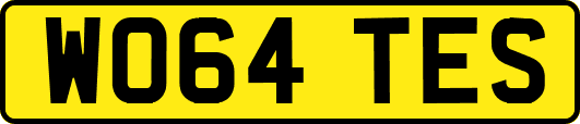 WO64TES