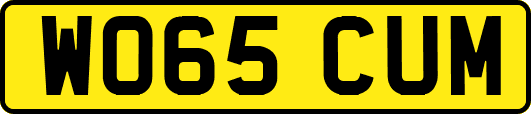 WO65CUM