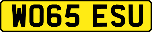 WO65ESU