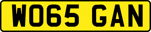 WO65GAN
