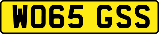 WO65GSS