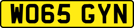 WO65GYN