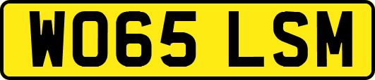 WO65LSM