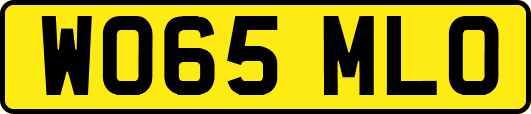 WO65MLO