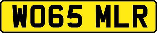 WO65MLR