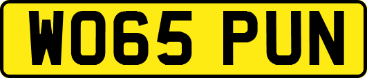 WO65PUN