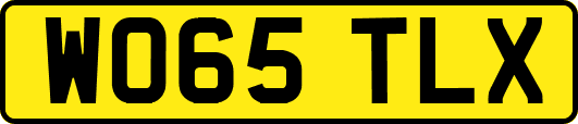 WO65TLX
