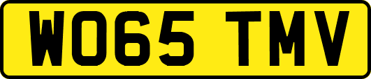 WO65TMV