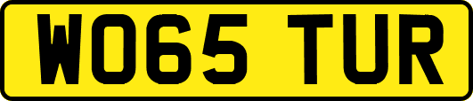 WO65TUR