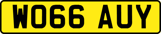 WO66AUY