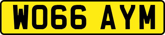 WO66AYM