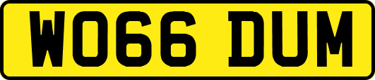 WO66DUM