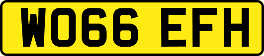WO66EFH