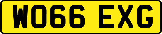 WO66EXG