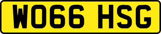 WO66HSG