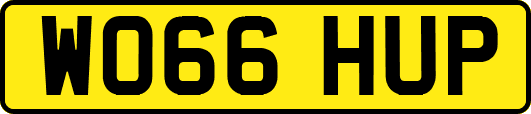 WO66HUP