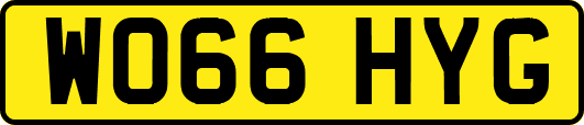 WO66HYG