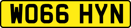 WO66HYN