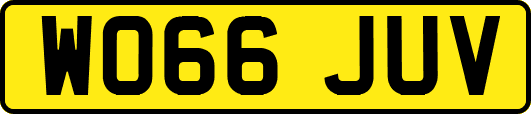 WO66JUV