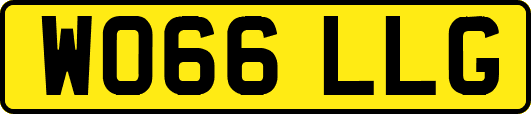 WO66LLG