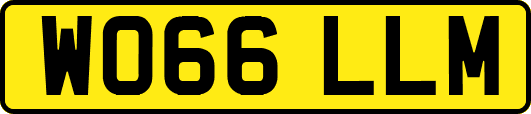 WO66LLM