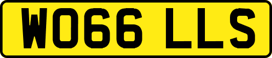WO66LLS