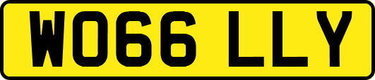 WO66LLY