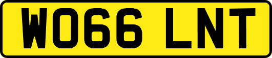 WO66LNT