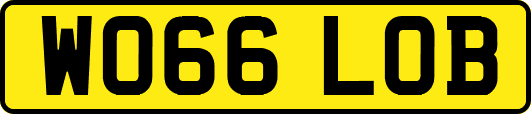 WO66LOB