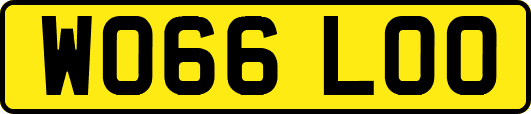 WO66LOO