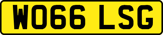 WO66LSG