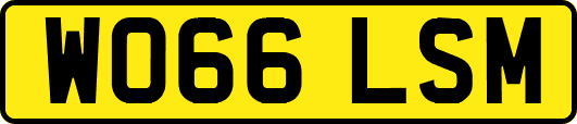 WO66LSM