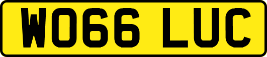 WO66LUC