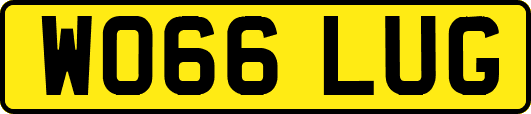 WO66LUG