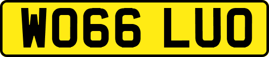 WO66LUO