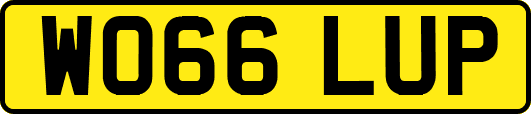 WO66LUP