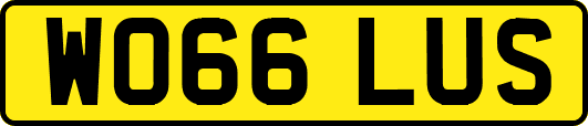 WO66LUS