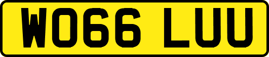 WO66LUU