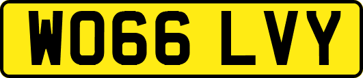 WO66LVY